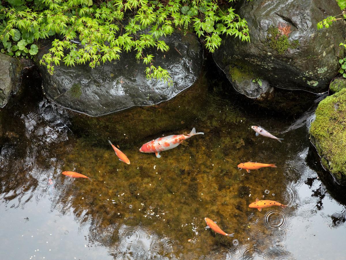 Ryokan Gizan Такаяма Экстерьер фото